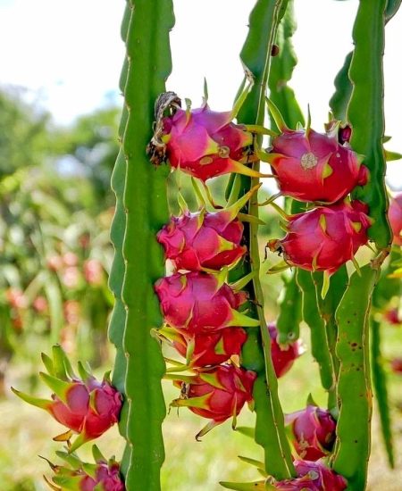 WhatsApp Image 2025-11-10 at 9.17.03 AM